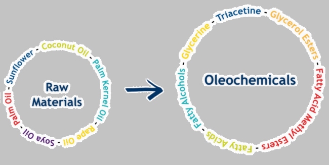 oleo_chemical oleo_chemical
